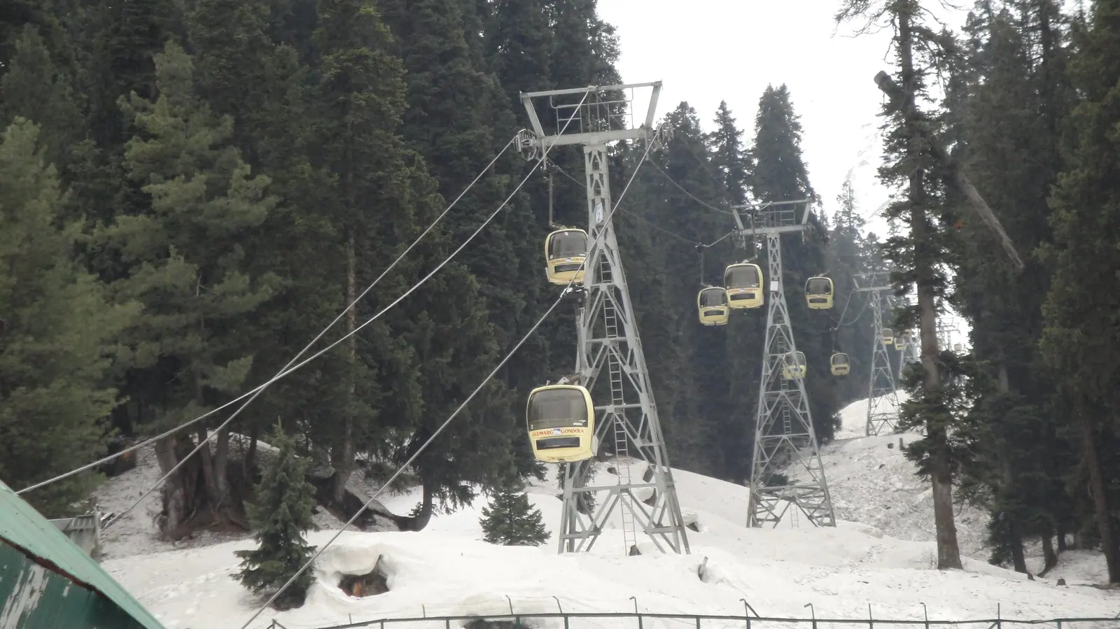 Gulmarg Gondola cabins gliding between pylons through a snowy fir forest