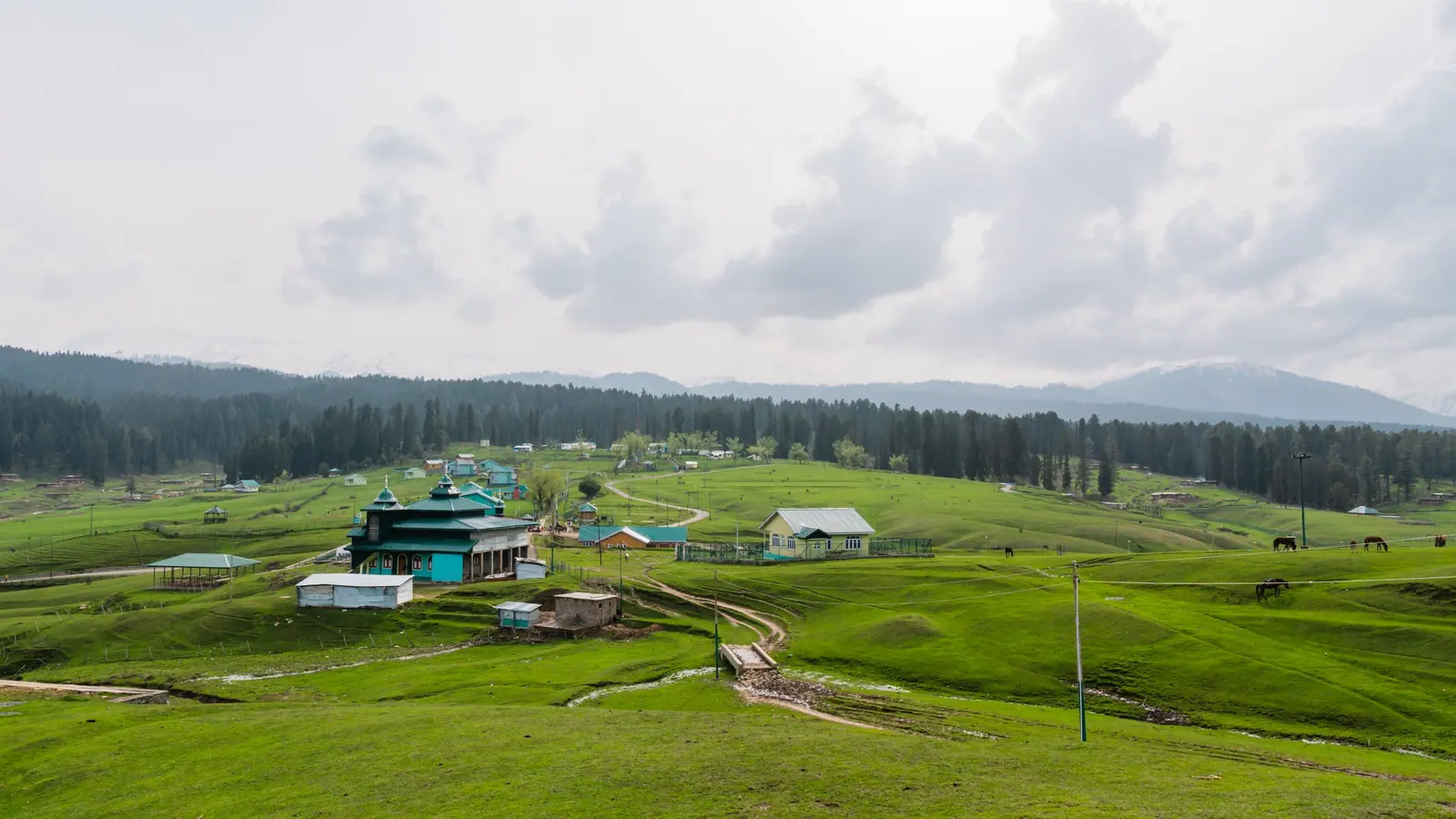 The rolling green meadows of Yusmarg dotted with huts and grazing horses, framed by pine forest
