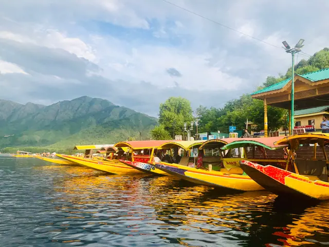 Row of canopied yellow shikaras with cushioned seats moored at a ghat on Dal Lake, Zabarwan hills behind