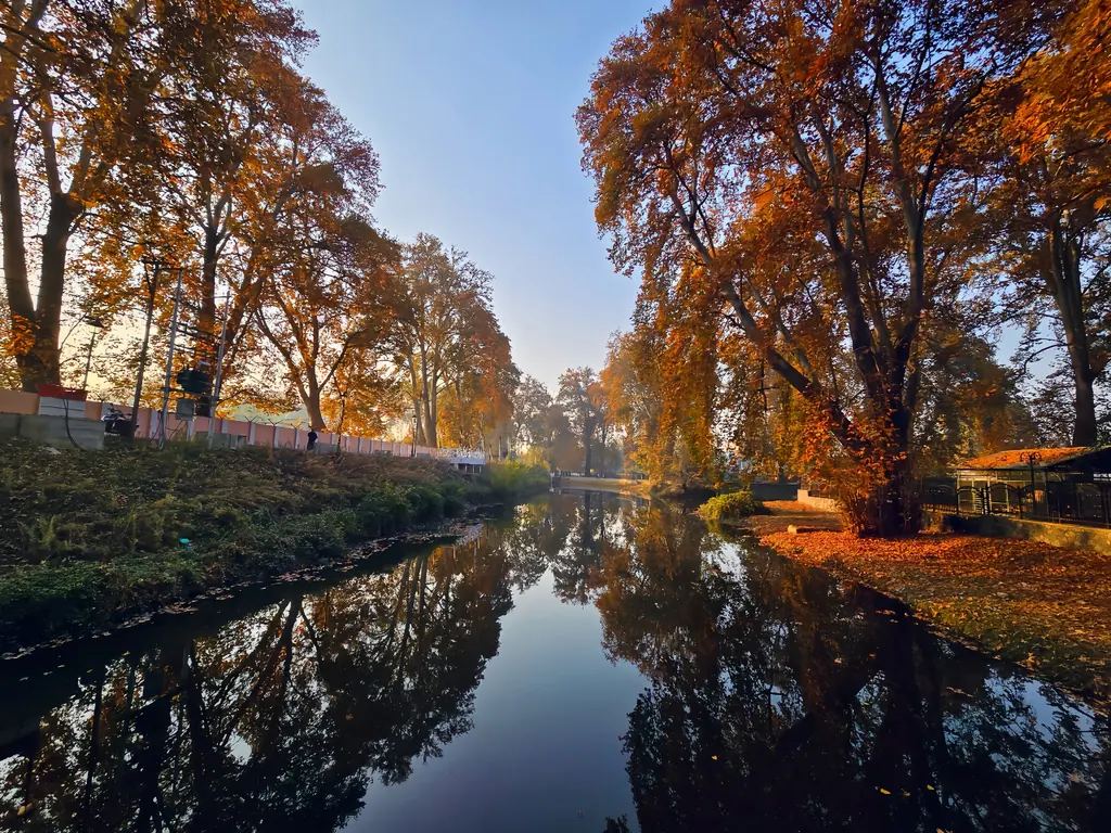 Fiery orange chinar trees reflected in a still canal at Chinar Bagh, Srinagar, in autumn
